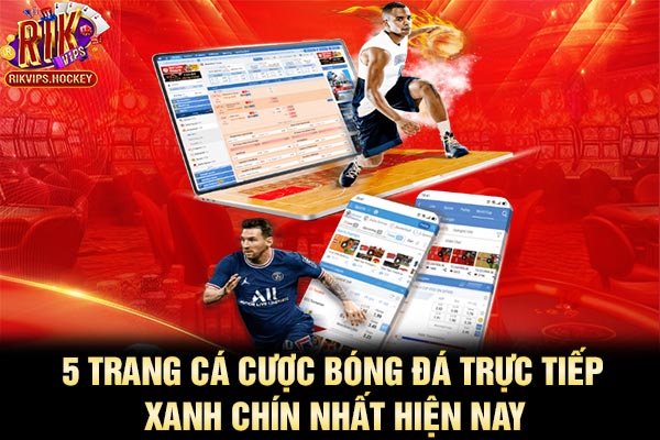 5 Trang Cá Cược Bóng Đá Trực Tiếp Xanh Chín Nhất Hiện Nay 1 5 Trang Cá Cược Bóng Đá Trực Tiếp Xanh Chín Nhất Hiện Nay