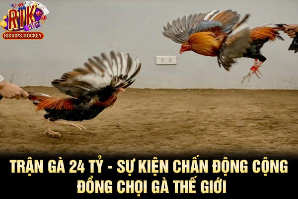 Trận Gà 24 Tỷ - Sự Kiện Chấn Động Cộng Đồng Chọi Gà Thế Giới 4 Trận Gà 24 Tỷ - Sự Kiện Chấn Động Cộng Đồng Chọi Gà Thế Giới